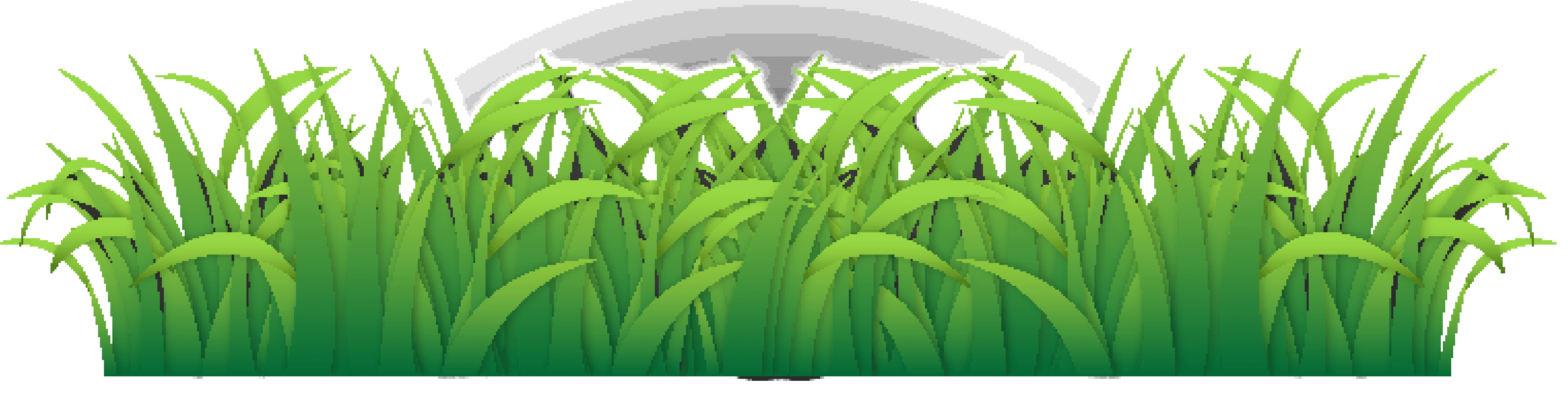 Grass 0