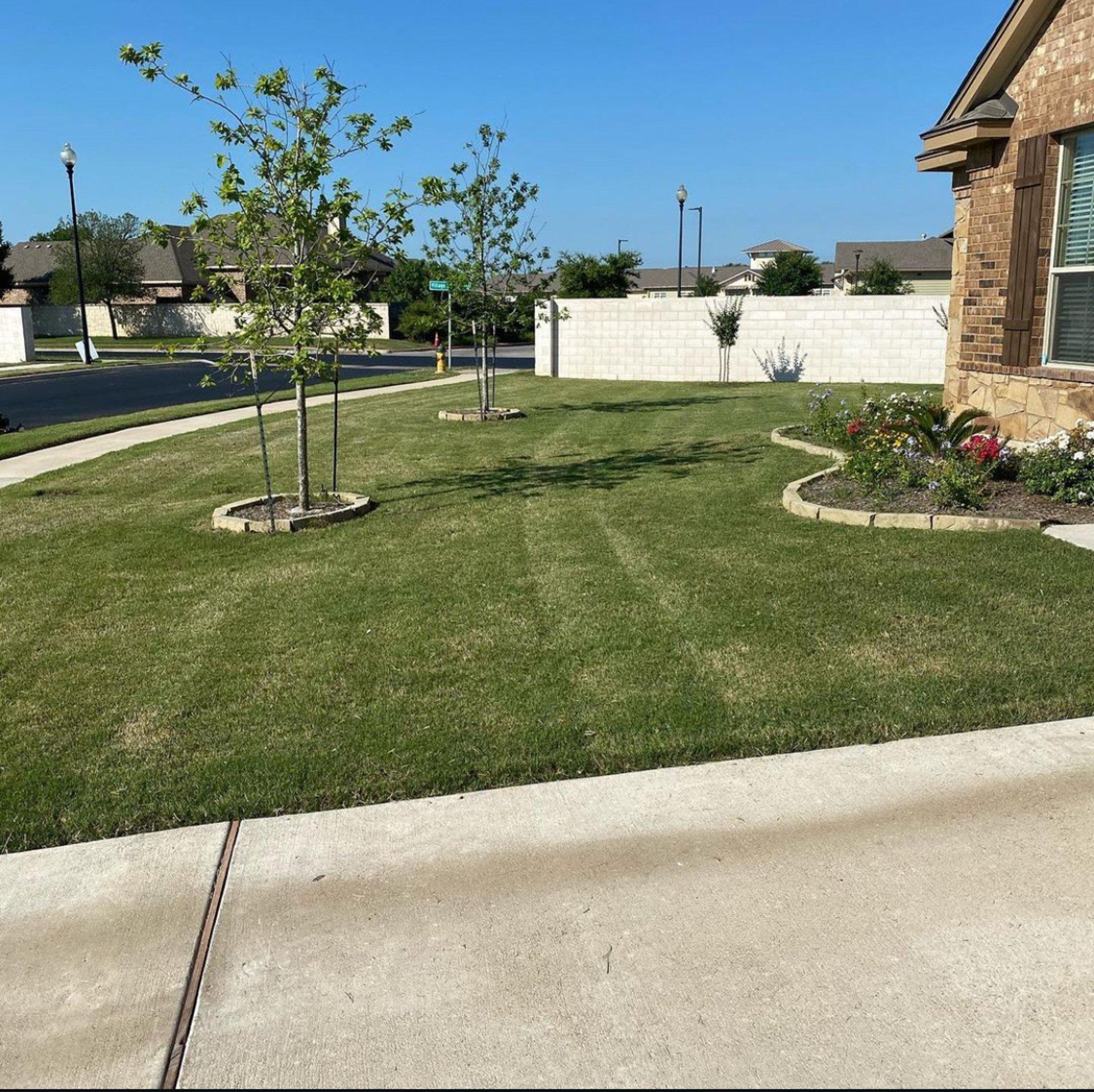 Residential landscape installation with trees and edging