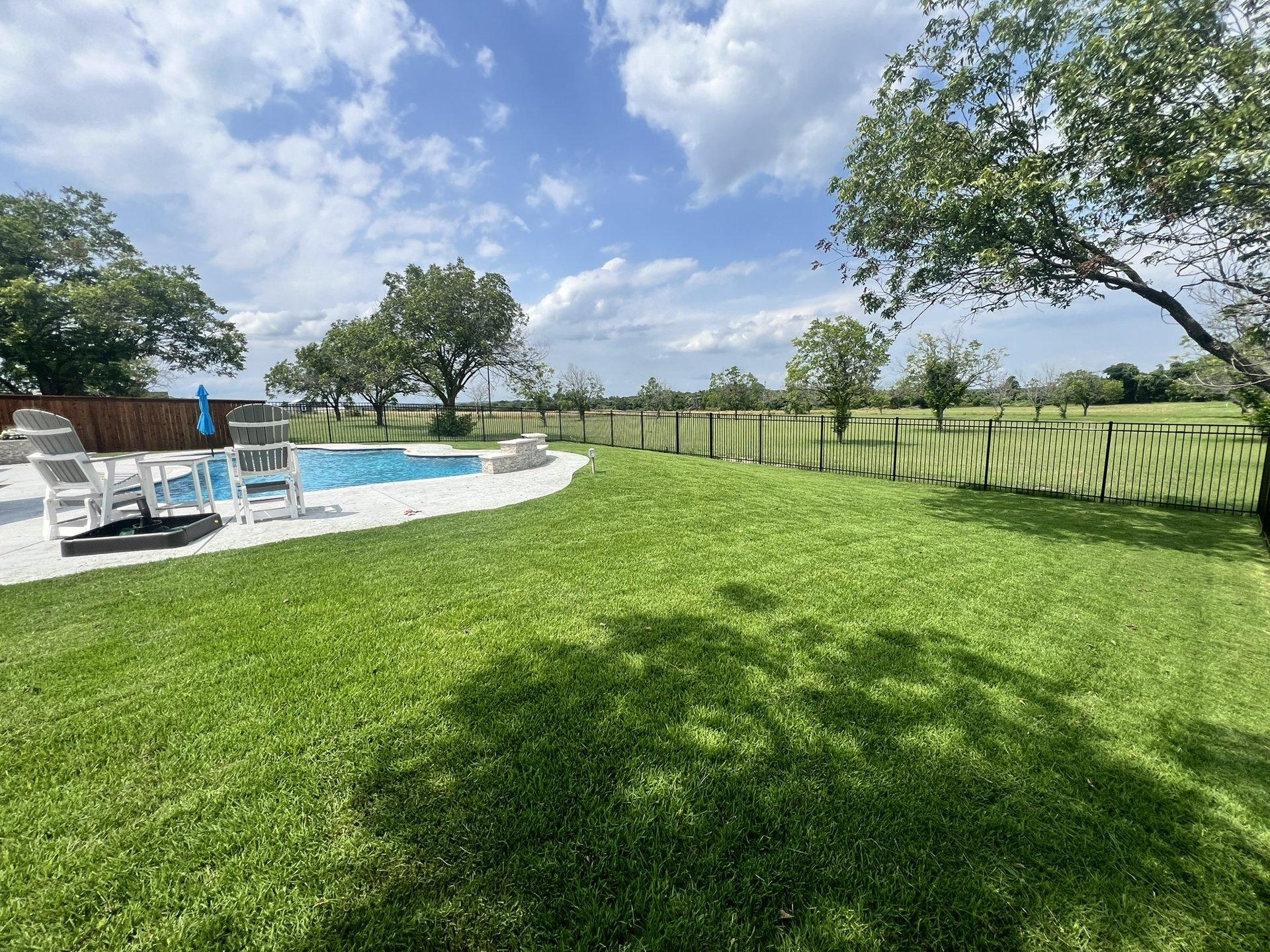 High-end backyard lawn care